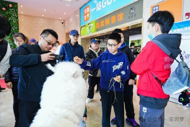 深圳中部宣布！一口气打造4座“城”，发布31个新地标