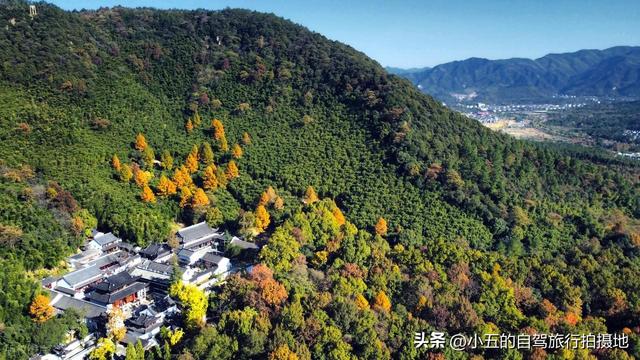 安吉秋日赏秋实测攻略！8 大打卡地 + 交通干货，直接抄
