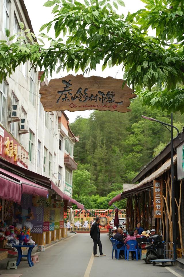 高温逃离计划！留坝这条小众路线，人少景美超治愈