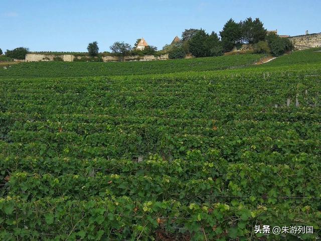 石板路和葡萄酒，是在波尔图遇见最地道的葡萄牙