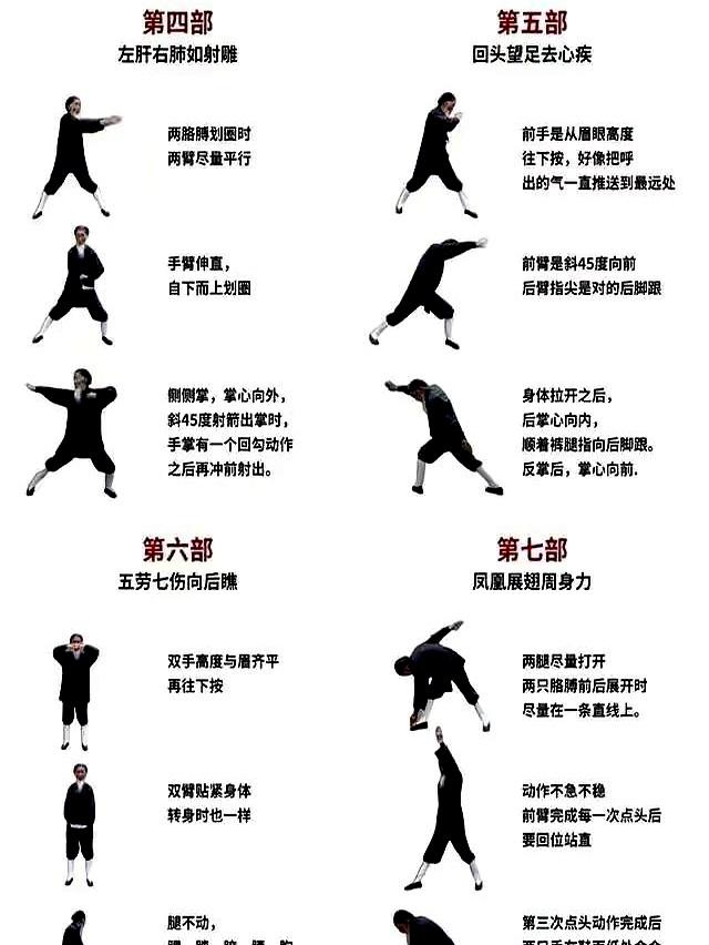 八部金刚功使身体“阳气升，浊气降	”，阴阳趋于平衡	，从头调到脚