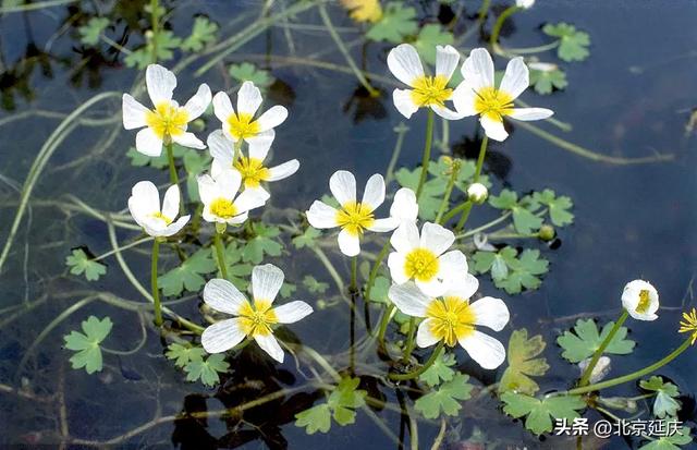 延庆,将生态文明建设写在绿水青山间——