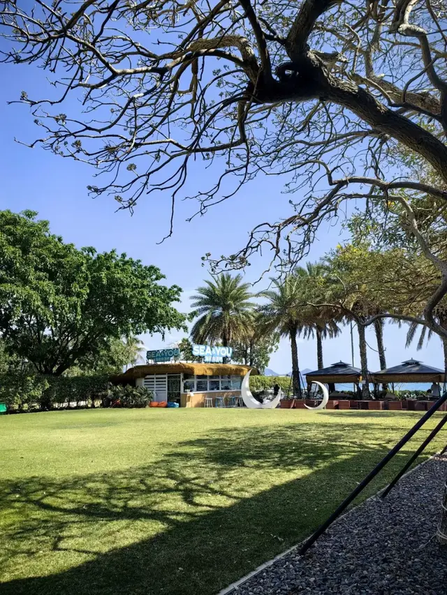 从渔港到田园！大亚湾这些绝美场景被镜头定格，宜居感拉满