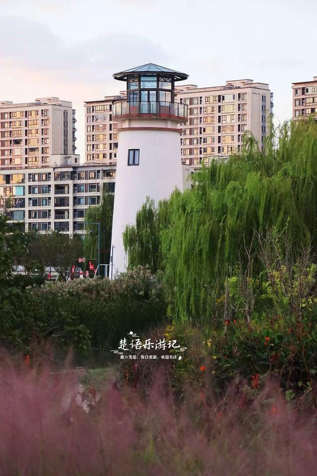 宁波镇海又发现一处粉黛园，临湖而居景色更秀丽，周边美景更多