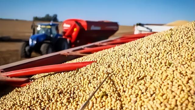 中国停巴西 180 万吨大豆单，巴反倾销报复！中方：多元供应链 + 3 月储备，底气十足