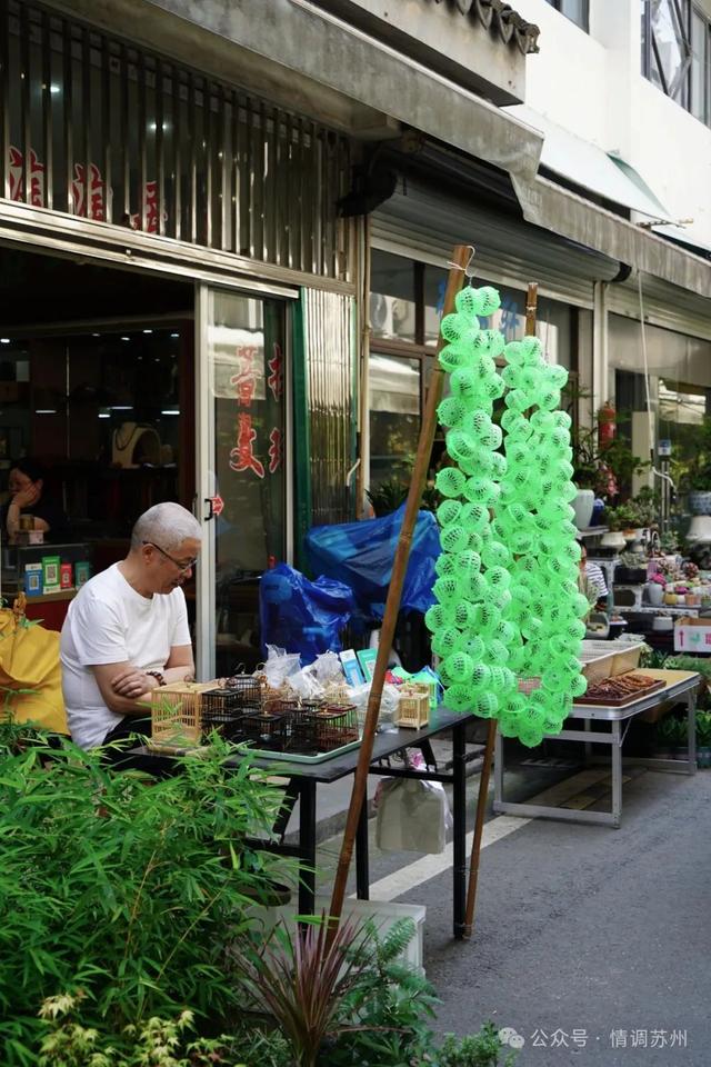 苏州花鸟市场里藏着滚滚红尘