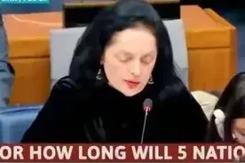 印度联合国会议质问五常还要掌权多久，印度入五常为何屡遭调戏图片