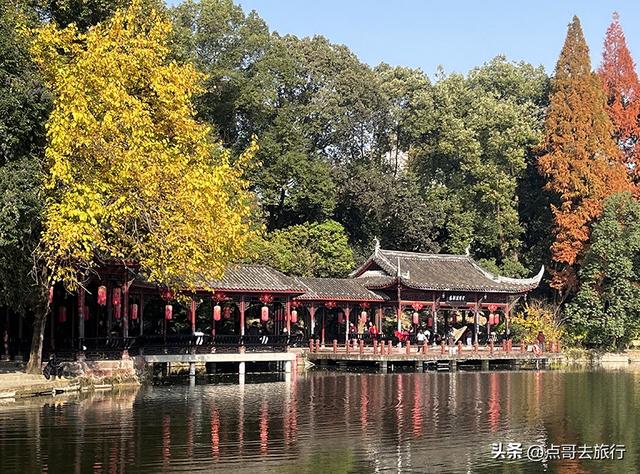 成都被私藏的彩林公园，流金溢彩，充满老城烟火气，地铁公交直达