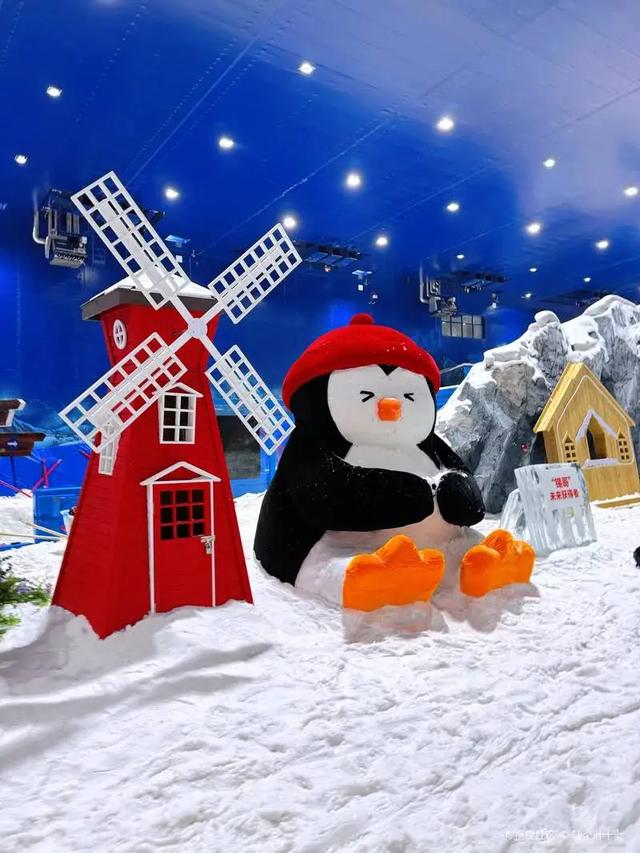 体荟四季丨出发!与小体一同解锁长三角3小时“滑雪圈”