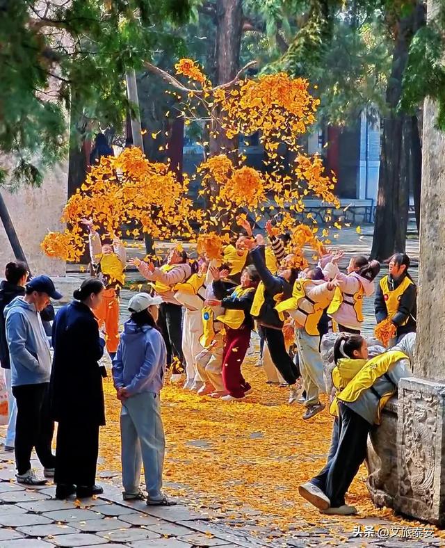 暖到了！身为“高冷古建”的岱庙，背地里在帮大家找回童年？