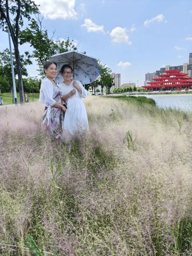 秋风起，栾花入梦来