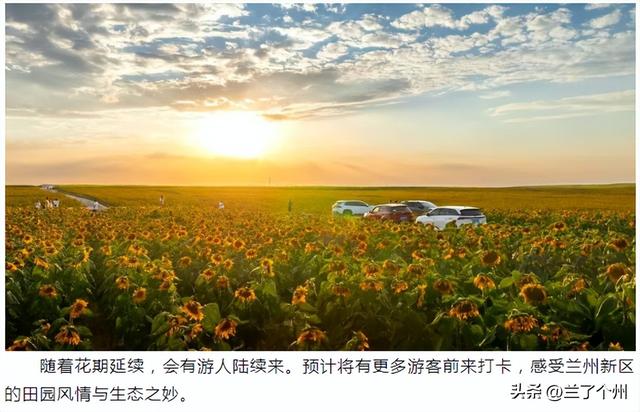 兰州竟然还有这么美的地方，不去就错过了