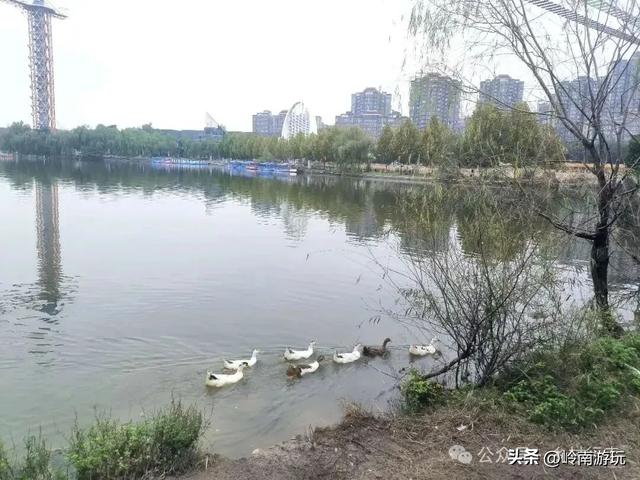 西安地铁10号线直达,承载708090后人记忆的未央湖公园变样了!