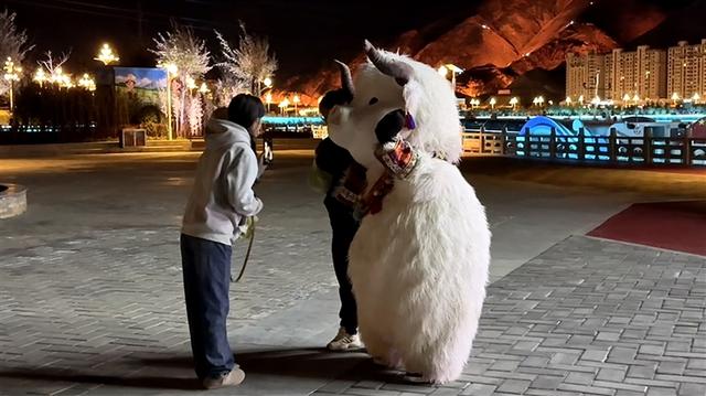 拉萨河“牦牛天团”打卡热潮点燃高原夜经济