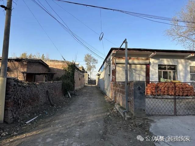 冠县乡韵·贾镇荆楼村