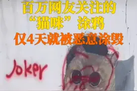 百万网友围观的猫猫涂鸦被恶意涂毁图片