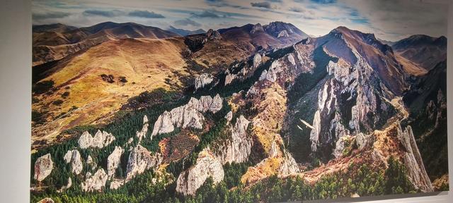 心心念念的大秦岭