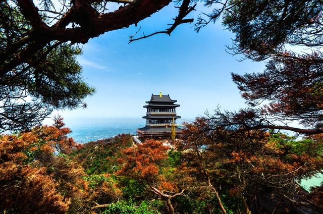 深圳航空ZH旅游新报 | 和临沂拥抱！