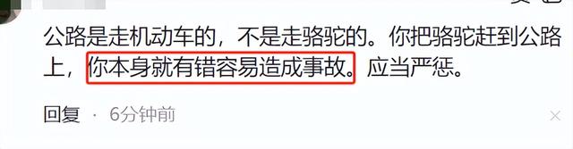 摩旅青海被牧民打头后续！7峰骆驼丢失，当地人发声 骑手有错在先