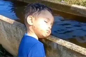 由巴勒斯坦男孩所想到的图片