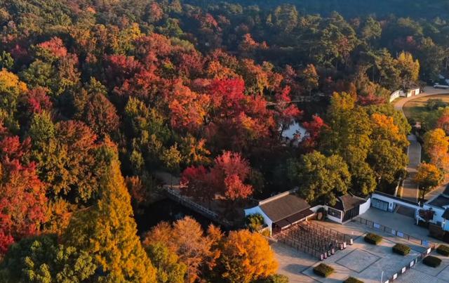 美绝了！中国四大赏枫地之一：苏州天平山，迈入最佳观赏期