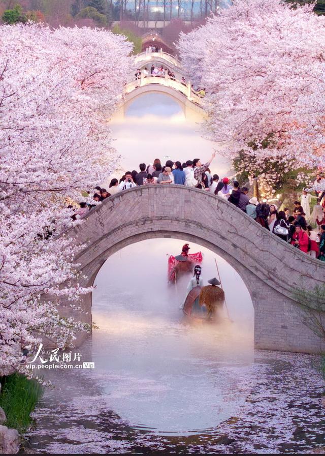 江苏南通：梦幻岛夜色美