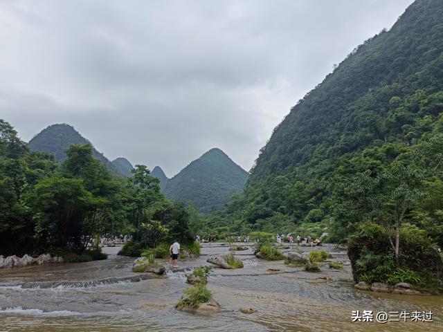 无为在歧路，2025之经行