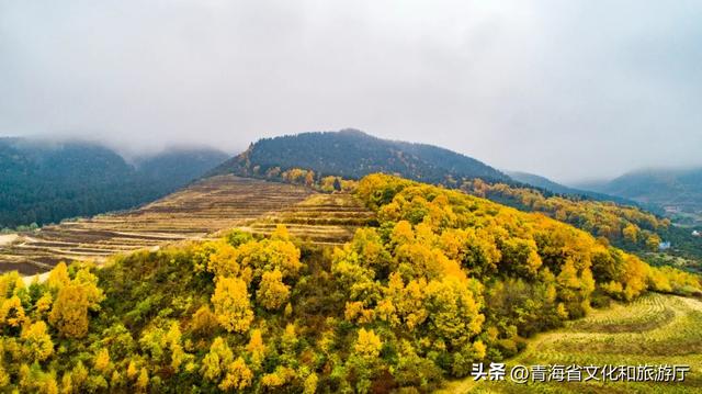 【秋日青海】假期邂逅乡趣卡阳，在云雾与秋色中共舞