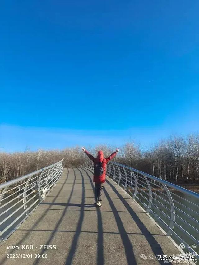 初冬北京朝阳坝河金盏淀:清寒里的静美画卷|申艳娟