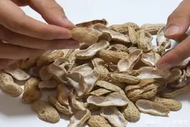 花生壳别扔，扔它等于在扔钱，用水泡一泡，教你制作有机肥方法图片