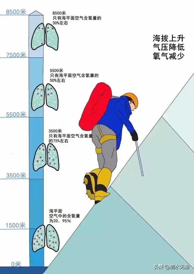 自驾“小西藏”甘南，90%的人不知道该怎么玩，如何应对高反