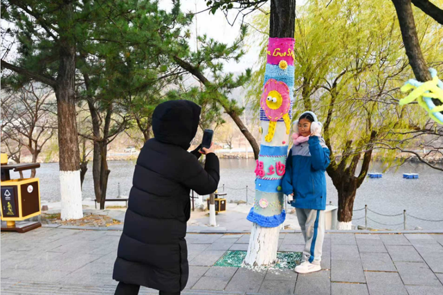 连云港：花果山大树集体穿上了“猴哥牌”毛衣