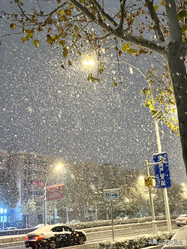 年度暖心梗强势出圈，告别向外求索内耗，学会好好宠爱老己