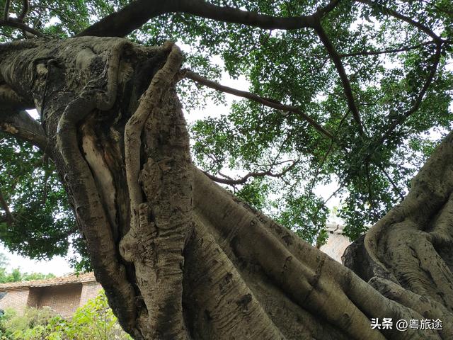 东莞凤凰亭，亭里刻着一只“神兽”，流传着怎样的故事？