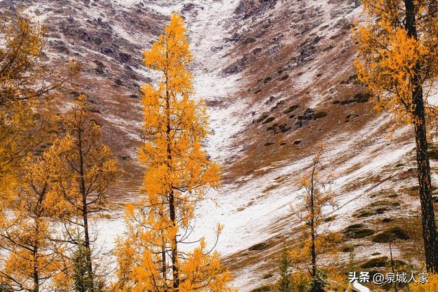 大雪——冬季第三个节气