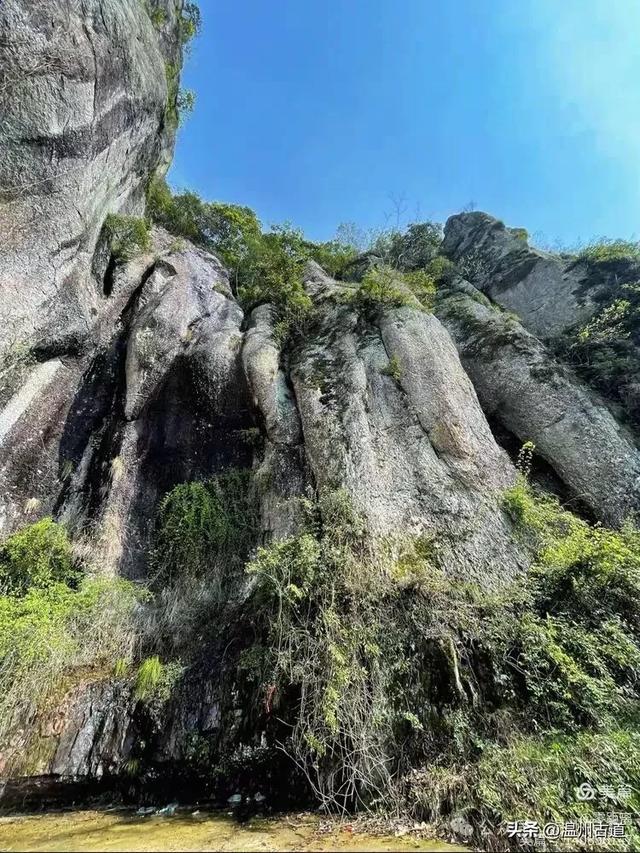藏于浙江5A景区内有一处“十里铁甲龙”,洞穴众多形态奇特