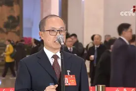 这位全国政协委员手持盲杖走上“委员通道”图片