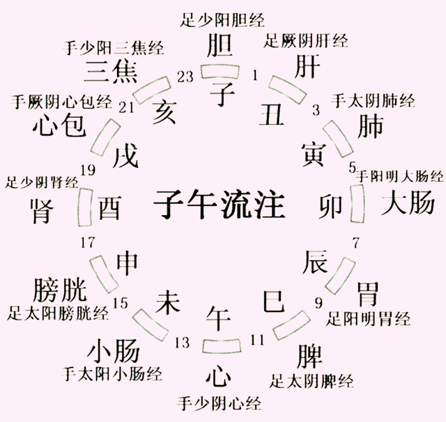 神秘的中药“药引子”到底是什么东西？
