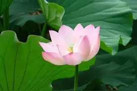 家中亲人过世时，兄弟姐妹要懂得：三不空，三不满图片