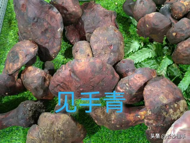 柴米油盐调味诗与远方，抚仙湖那一抹红