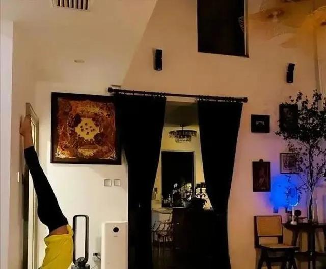 46岁殷桃的“豪宅”又火了，仅一院子就圈粉无数，那叫一个壮观！