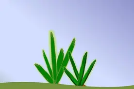 都是“一”：a，an 和 one，有什么区别？图片