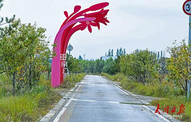 云州秋“妆”上线！从忘忧大道到黄花小镇，步步皆是“诗与远方”