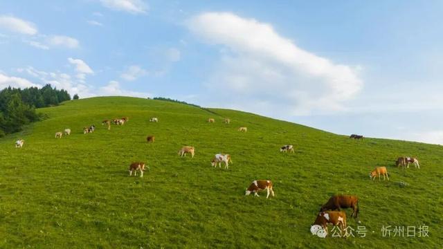 看，是金山梁！