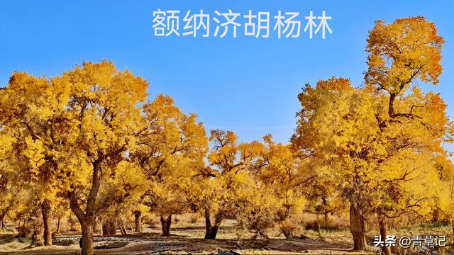 穷游15天（20）15天玩了20多个景点消费3385元