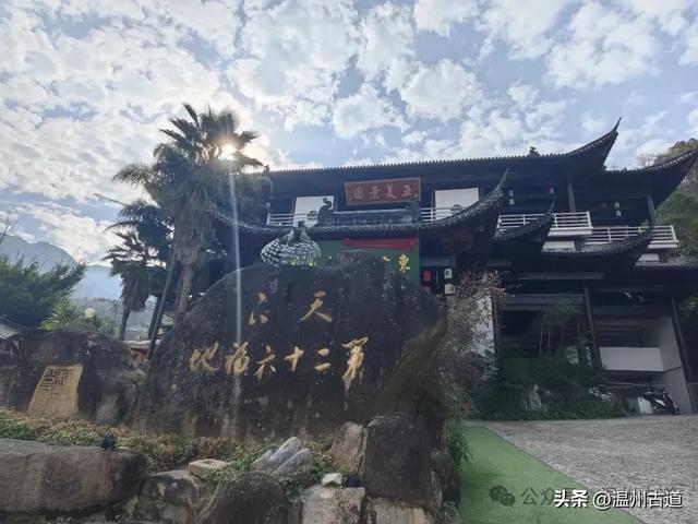 一树金黄,满城风雅!温州这棵著名的古寺银杏再不去就要落叶了