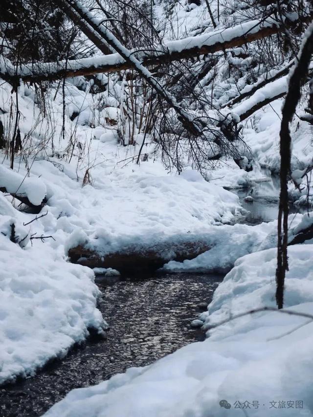 走，去长白山峡谷浮石林，踩最野的雪！看最奇的景！
