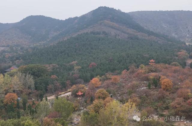 初冬宿州镇头寺,西风调朱墨,尽染深山树!