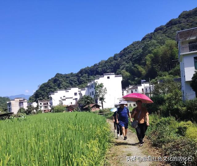 飞哥陪您走进紫云岭古道