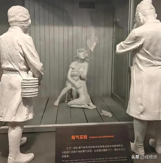 上海交大教授：731部队不存在，侵华日军没用中国人做人体实验！